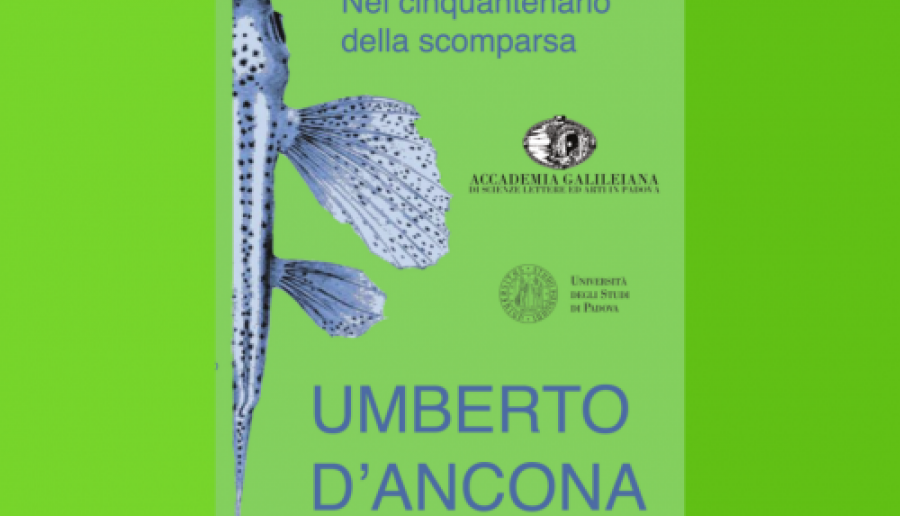 Convegno su Umberto D'Ancona Convegno su Umberto D'Ancona