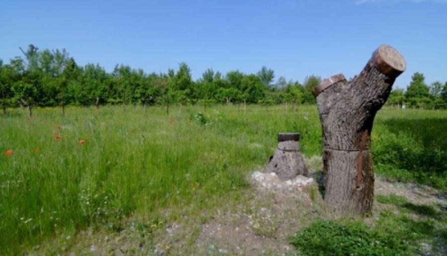 Teglio Veneto, area dei prati delle Pars (foto: M. Fletzer) Teglio Veneto, area dei prati delle Pars (foto: M. Fletzer)