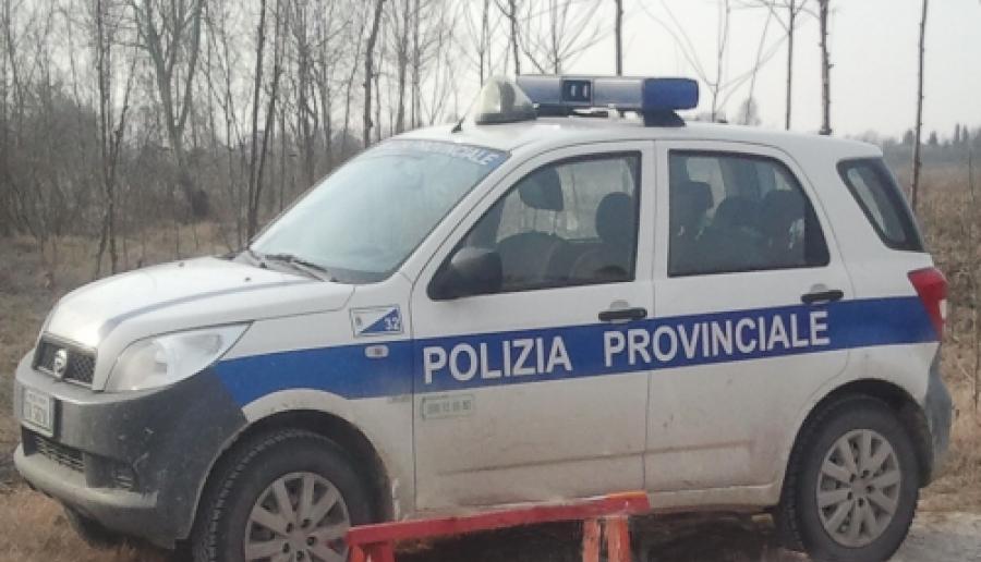 vettura della polizia provinciale (foto: Ufficio stampa) vettura della polizia provinciale