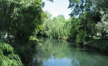 Avviso manifestazione di interesse relativo al Parco regionale di interesse locale dei fiumi Reghena- Lemene e dei laghi di Cinto Avviso manifestazione di interesse relativo al Parco regionale di interesse locale dei fiumi Reghena- Lemene e dei laghi di Cinto