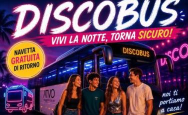 discobus discobus