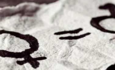 consigliera parità consigliera parità