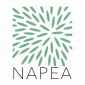 Napea
