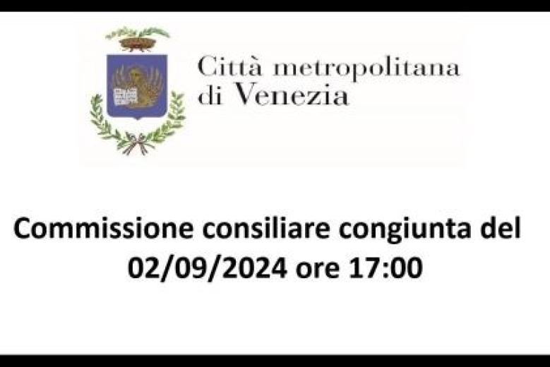 Commissione consiliare congiunta
