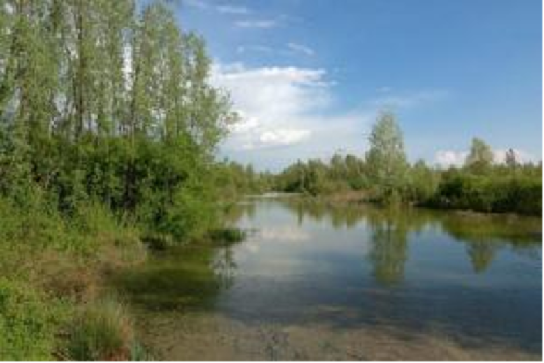 Gestire insieme il cambiamento climatico Gestire insieme il cambiamento climatico