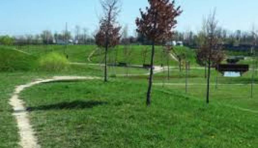 Parco a Mirano Parco a MIrano